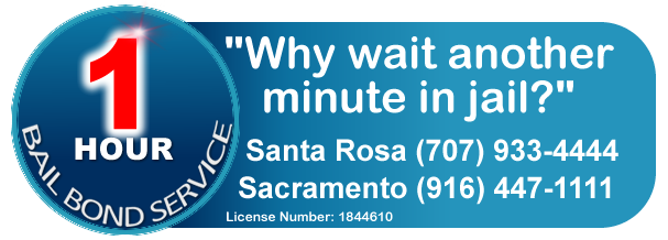 1 Hour Bail Bonds | 24 Hours / 7 Days | 52 years of experience | Free Consultation 1 Hour Bail Bonds | Over 30 Years Of Experience